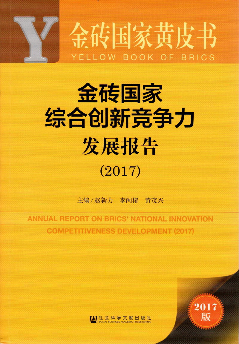 大鸡巴操逼综合五月金砖国家综合创新竞争力发展报告（2017）